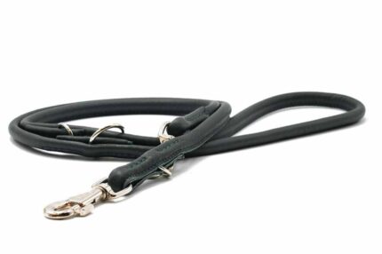 lederleine-rundgenaeht-gruen-gruen-silber-2m-10mm~3