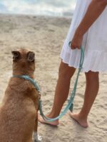 lederleine-rundgenaeht-mint-mint-silber-2m-4mm~2