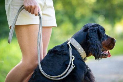 lederleine-rundgenaeht-old-english-old-grey-silber-2m-10mm~4