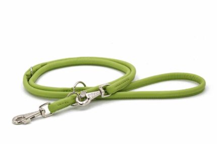 lederleine-rundgenaeht-pistazie-2m-10mm-pistazie-silber