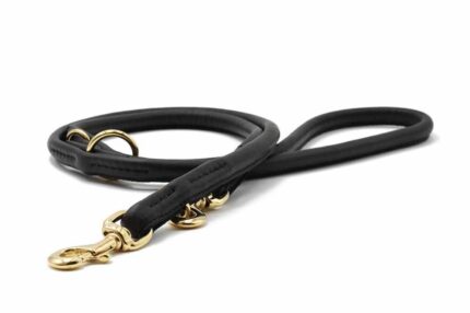 lederleine-rundgenaeht-schwarz-schwarz-gold-3m-10mm~3