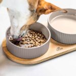 Lifestyle_Kronborg Food Bar_3