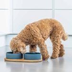 Lifestyle_Kronborg Food Bar_5