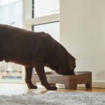 Lifestyle-Skagen Food Bar_5