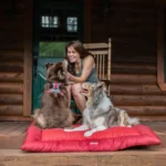 loft_bed_RD_LS_2-dogs_cabin-1_5-21