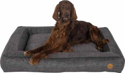 MANBB1050 JV MANCHESTER Boxbed Grey XL-Dog