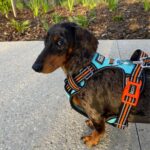 OBT-WebsiteImageCrop_7fcec791-8ddd-4398-948a-52f7231762f8