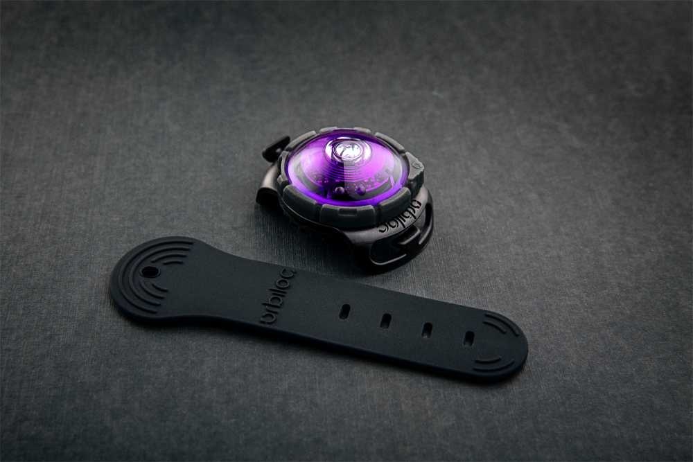 Orbiloc_Dog_Dual_Adjustable-Strap_Purple_HR