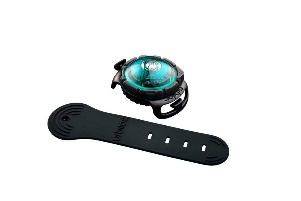 Orbiloc_Dog_Dual_Adjustable-Strap_Turquoise_exposed_HR