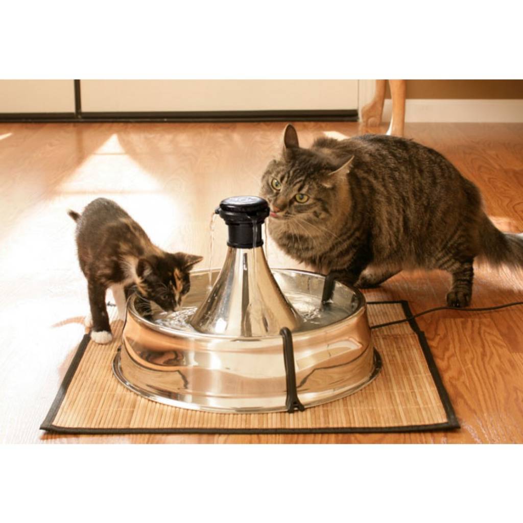 petsafe-drinkwell-360-roestvrij-staal-drinkfontein (1)