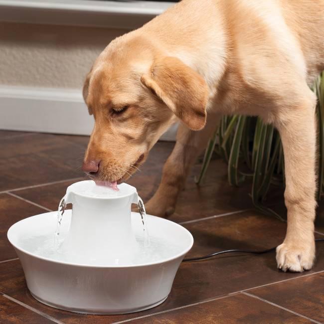 petsafe_drinkwell_avalon_360