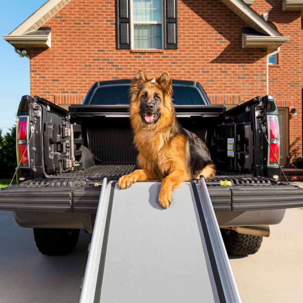 petsafe-petsafe-happy-ride-telescoping-dog-ramp (1)