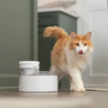 petsafe-petsafe-outlast-17-l-pumpless-pet-fountain (1)