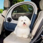 PetSafe_ZTV00-17289_eComm_Enhanced_TVAC_TravelCrate_DogNextToCrate_1024x1024@2x