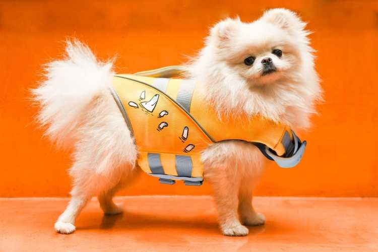 Petsochic Life Jacket
