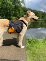 processed-DCF1D67C-78A8-4D2A-AAA0-9086BA609149