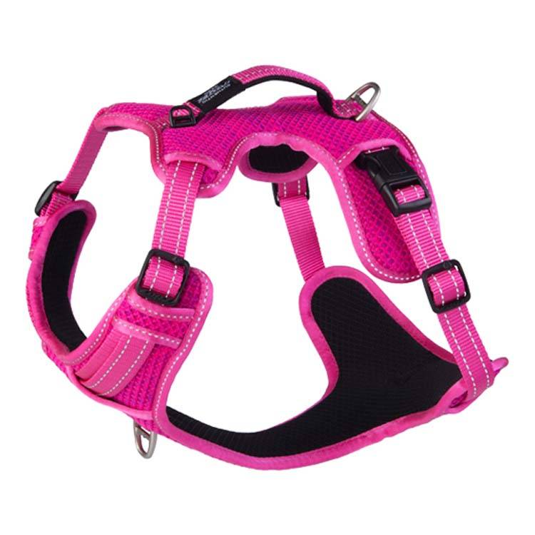 Rogz Explore Harness Roze1