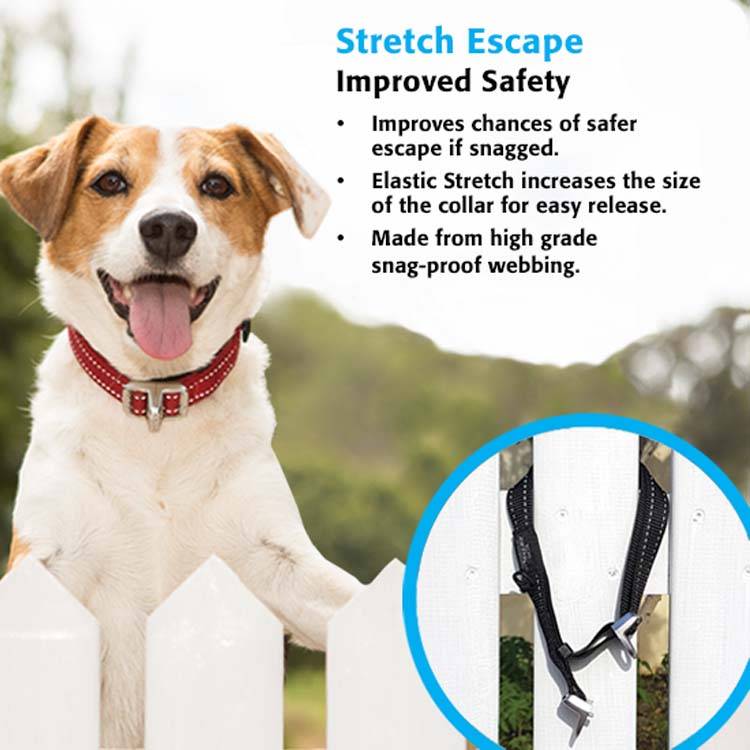 rogz hondenhalsband safety1