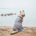 rukka-pets-rukka-pets-micro-light-badjas-lichtgewi (1)