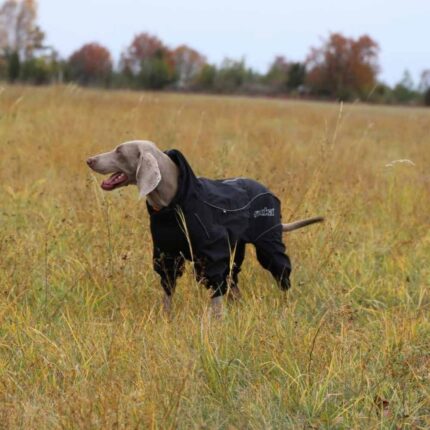 rukka-pets-rukka-pets-protect-overall-beschermende (1)