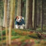 rukka-pets-rukka-pets-stormy-coat-winterjas-voor-h (3)