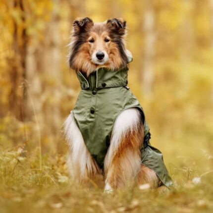 rukka-pets-rukka-pets-streamy-eco-raincoat-trendy (7)