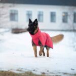 rukka-pets-rukka-pets-windy-thermal-jacket-warme-s