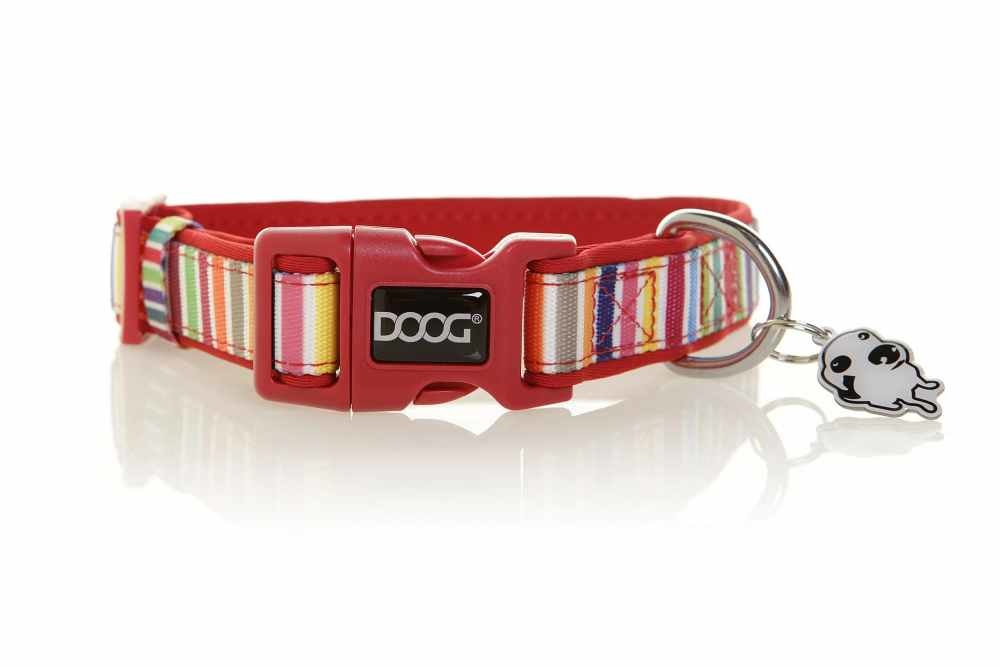 Scooby_Collar_a0f2fa29-6057-48d5-90b3-beb613c7cbf7_2048x2048
