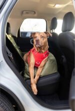 Screenshot_2025-02-07_at_8.55.52_AM