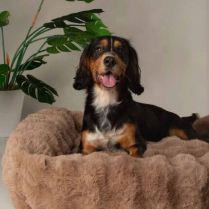 scruffs-scruffs-alpine-box-bed-m-l-xl-xxl (7)