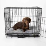 scruffs-scruffs-cosy-crate-mat (2)