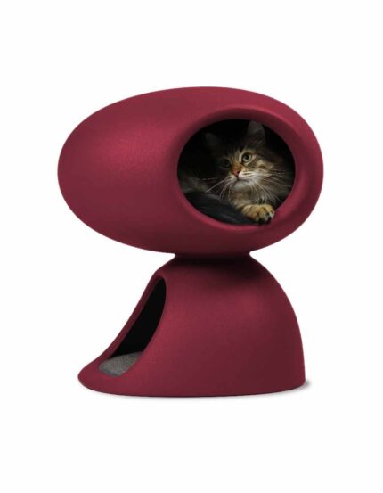 sg5202bx_siberiano_cesare_nobg