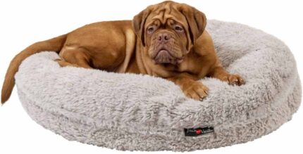 SHEPU1020_JV_Shell_Puff_Dog-2