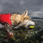 SkipStones_2_extended_1x1_1b9d7216-7a67-4f30-88dc-92f77c7331b8