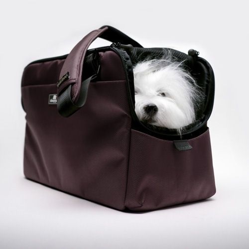 sleepypod_atom_dark_chocolate