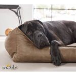 snObbs_Luna_cowboys_brown_stoer_stijlvol_2-700x700