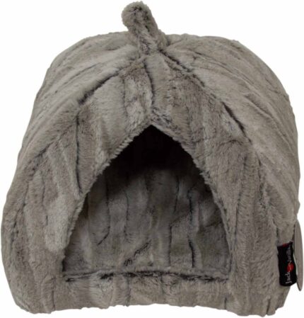 TIBIG0510 JV Tibet Iglo