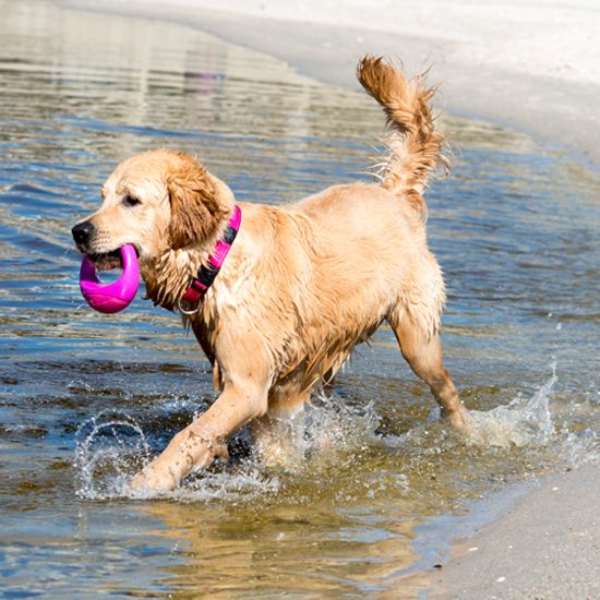 Toys-PU04-K-PopUpz-Pink-Lifestyle1