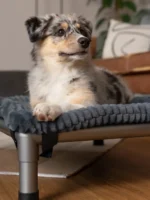 TrendPet_Harmony_for_HighBed_27419_75x55_07_1600x1600