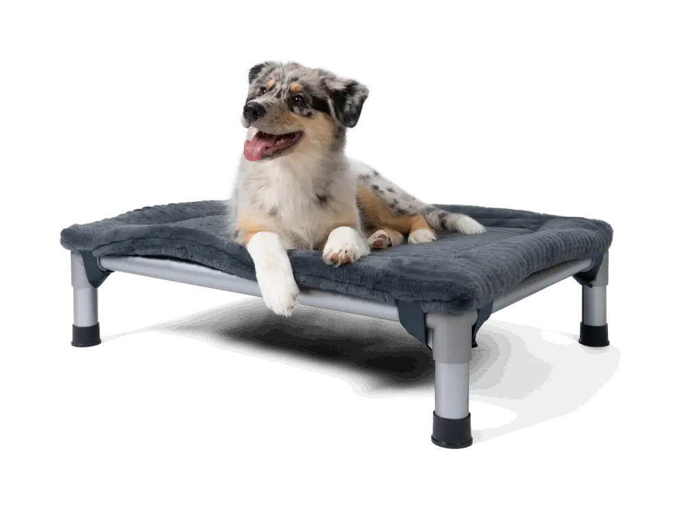 images TrendPet_Harmony_for_HighBed_27419_75x55_26