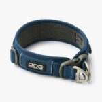 Urban Explorer Collar-Ocean Blue_1