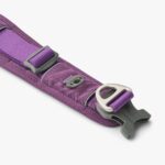 Urban Explorer Collar-Purple Passion_2