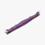 Urban Explorer Collar-Purple Passion_3