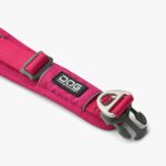 Urban Explorer Collar-Wild Rose_4