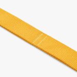 Urban Trail Leash-Lemon_2