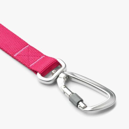Urban Trail Leash-Wild Rose_3