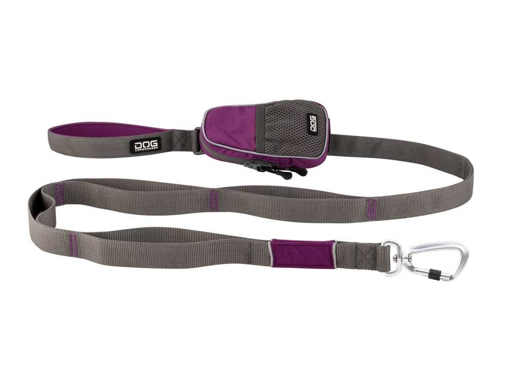 UT-Leash-PurplePassion-V1-new.car