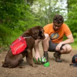 Water_Bottle_For_Dogs_Dog_Water_Bottle_Lifestyle__68646