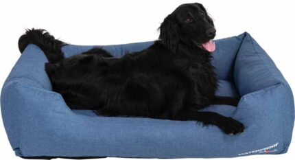 WATSO5040_JV_Waterproof_Sofa_Blue_XL_Dog-5